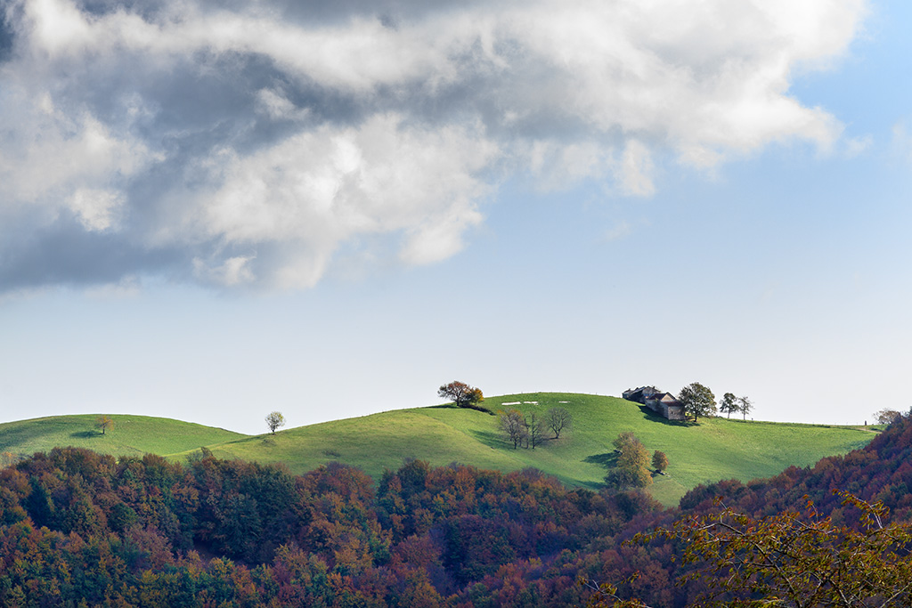 La mia collina