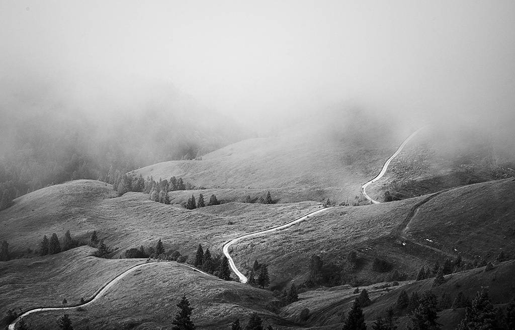 Il percorso della vita