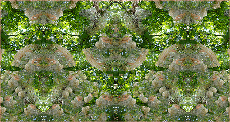 RAGNETTI IN RETE MATERNA� 2015