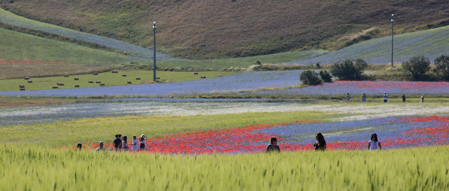 Osservati da lontano