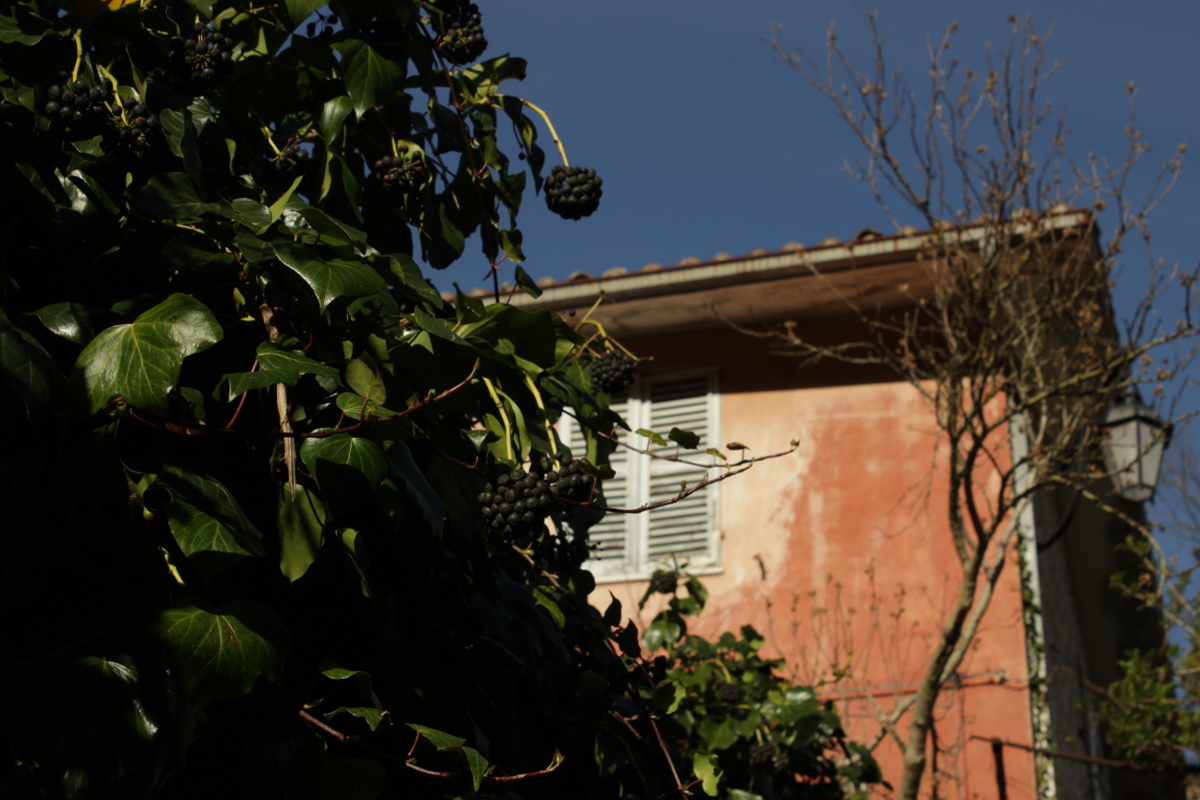 Scorcio da un vicolo