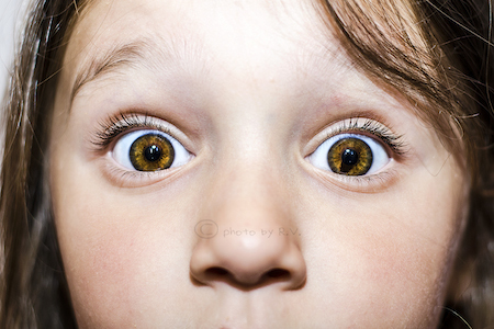 La perplessit� � l'inizio della conoscenza. (cit. K.Gibran)