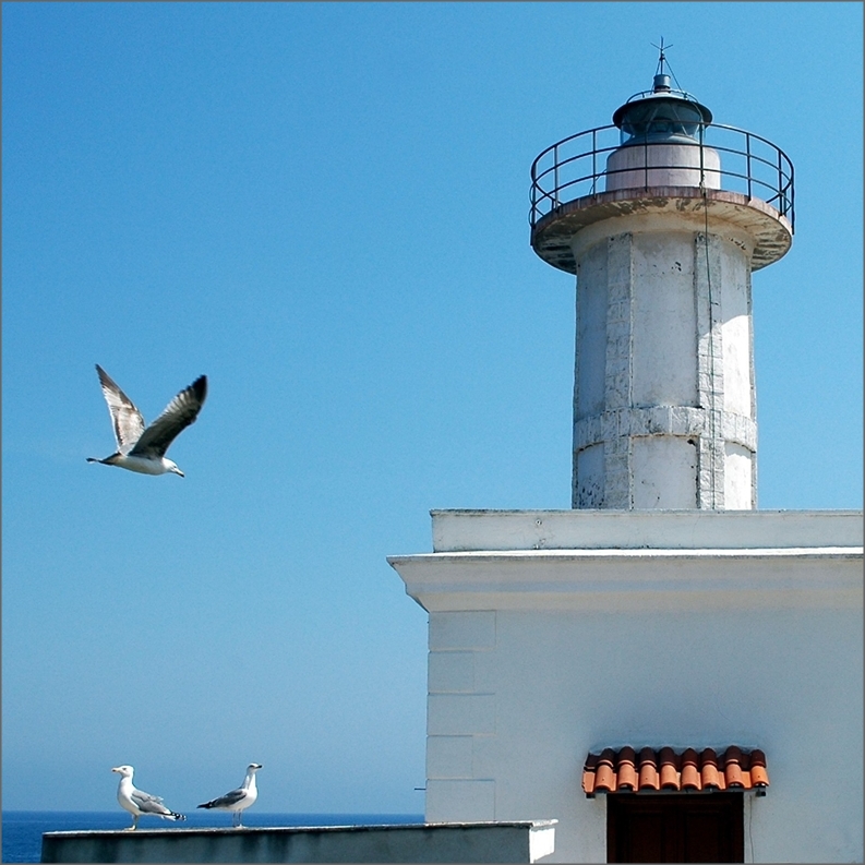 Mediterraneo  Img 048