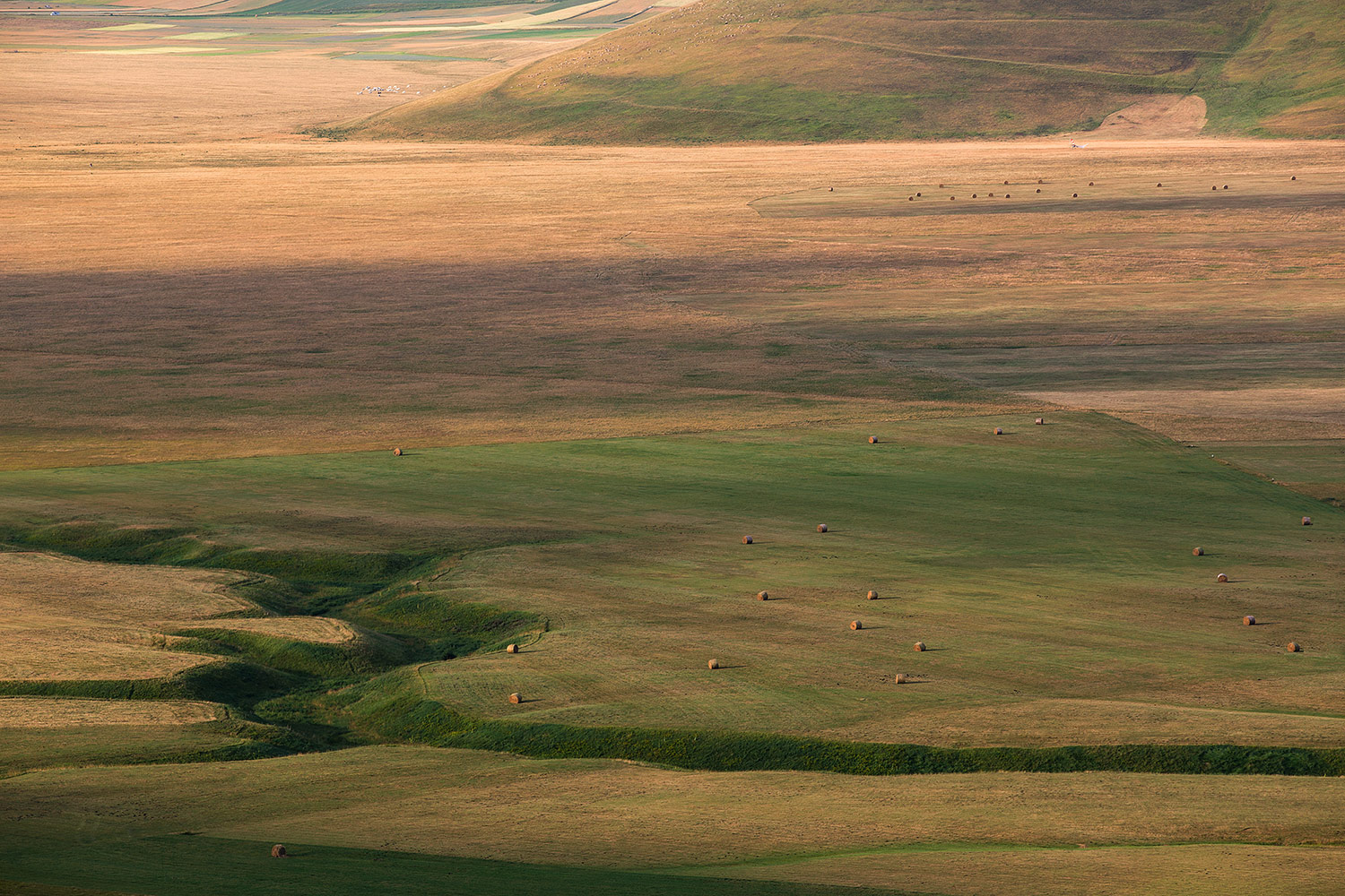 se dovessi perdermi nei miei pensieri vorrei ritrovarmi sempre qui