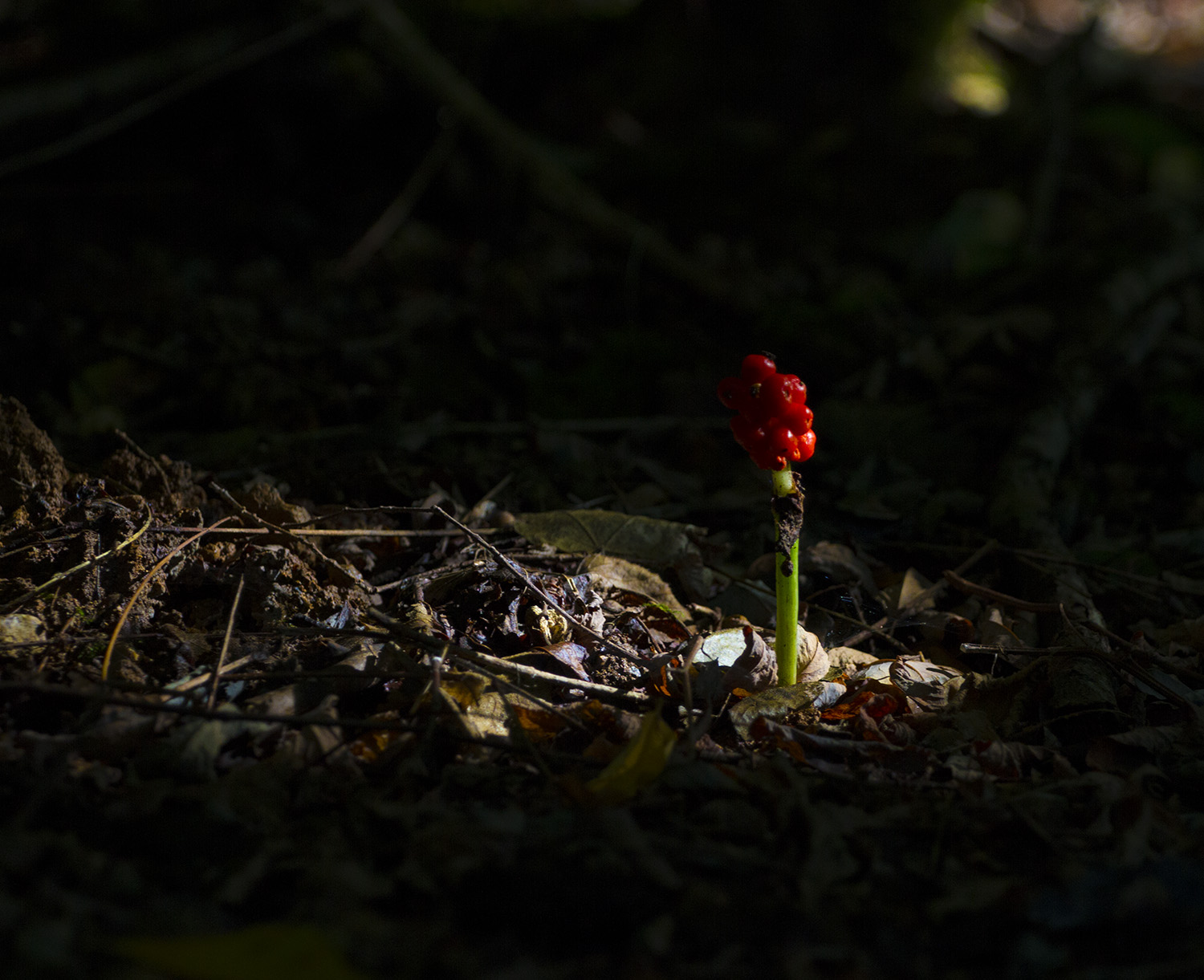 Spiraglio di luce...