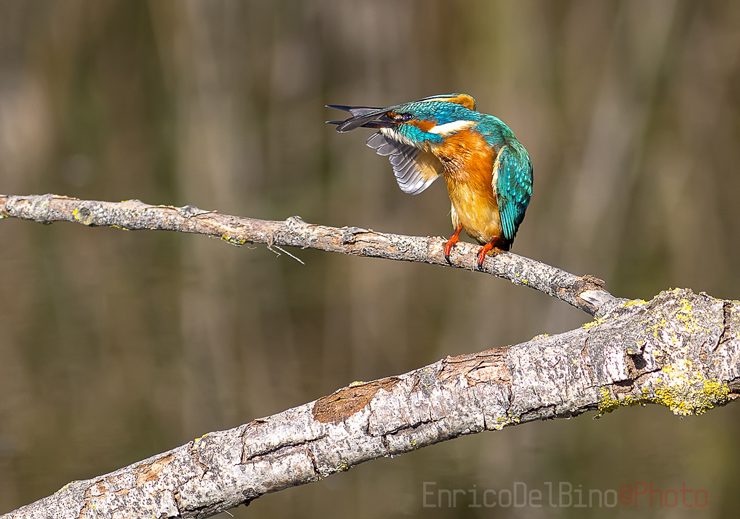 Vedo qualcosa all'orizzonte....