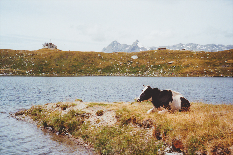 Rifugio Bertacchi - Spluga SO