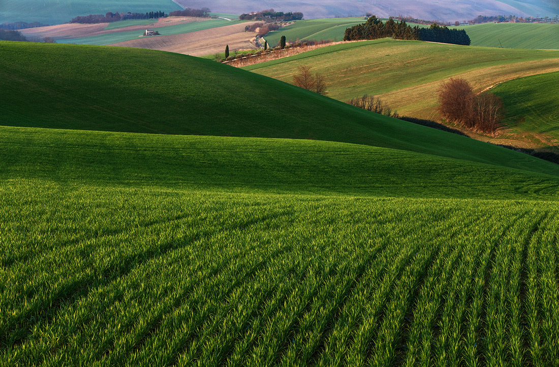 stavo per usare il cestino decidete voi