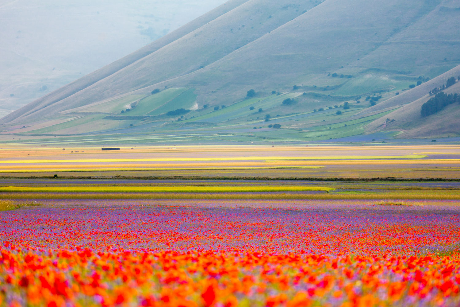 Castelluccio