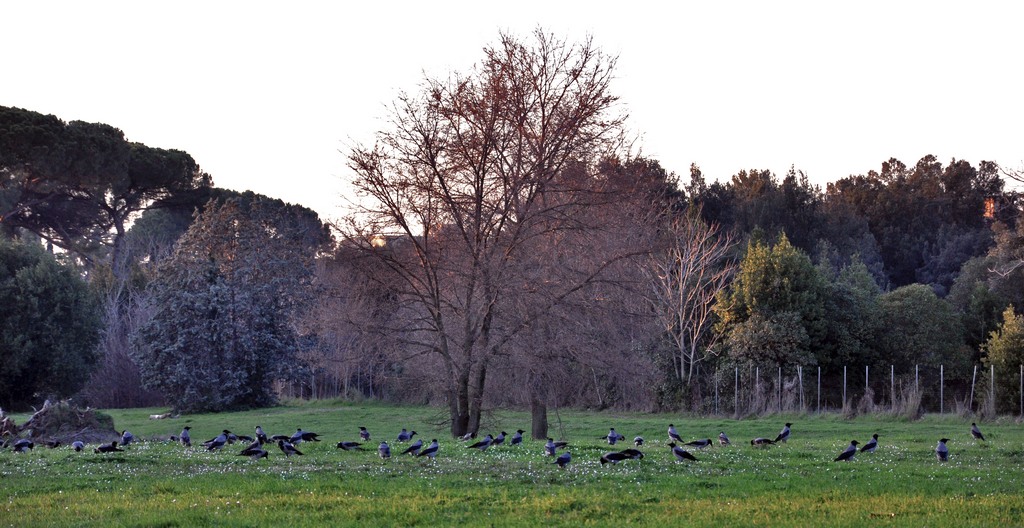 Tutti giu' per favore...