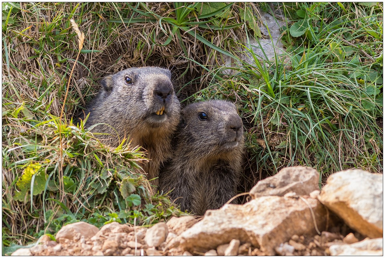 Una finestra per due.