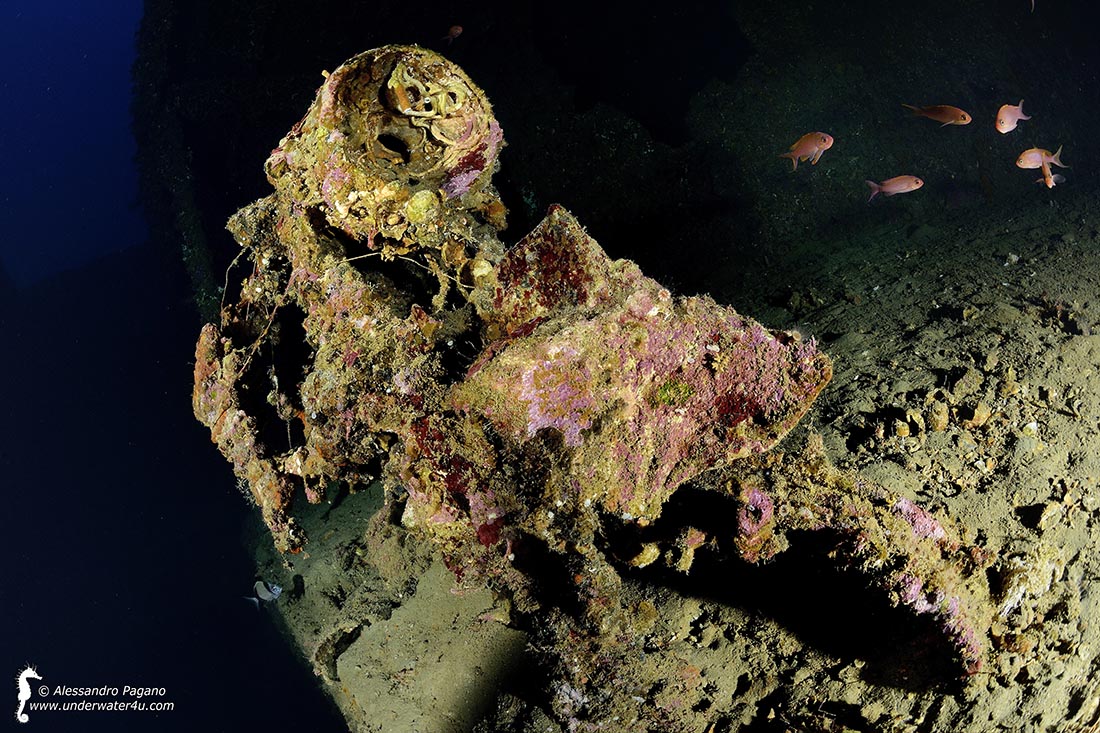 Wreck "Valfiorita"