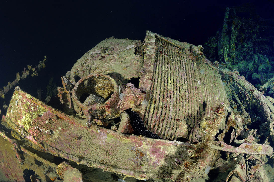 Wreck "Valfiorita"