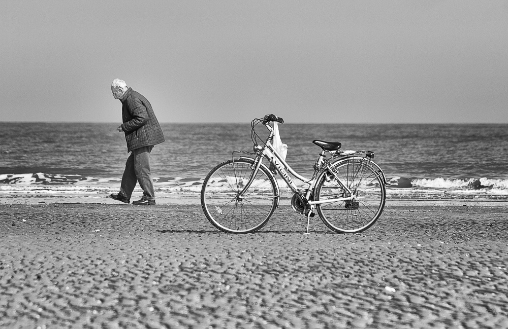 Cercatore di conchiglie