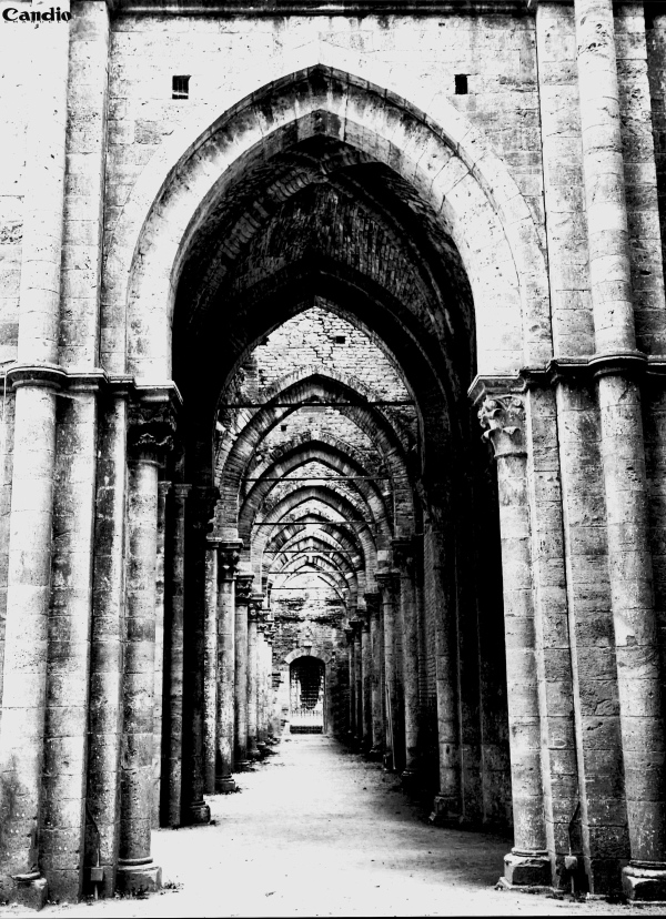 Abbazia di San Galgano