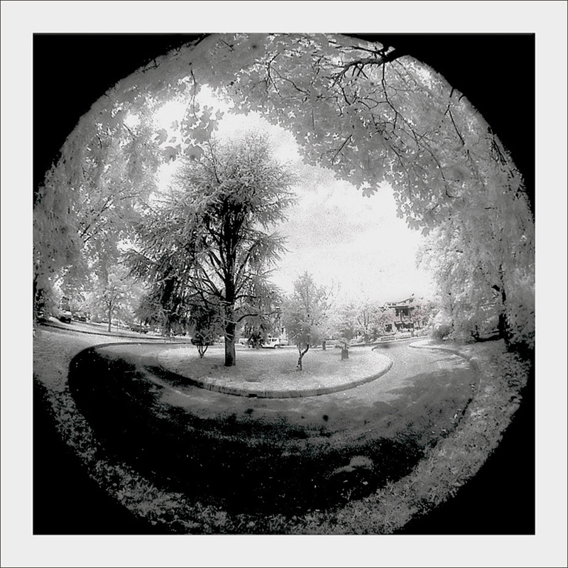 Come in una sfera di cristallo...