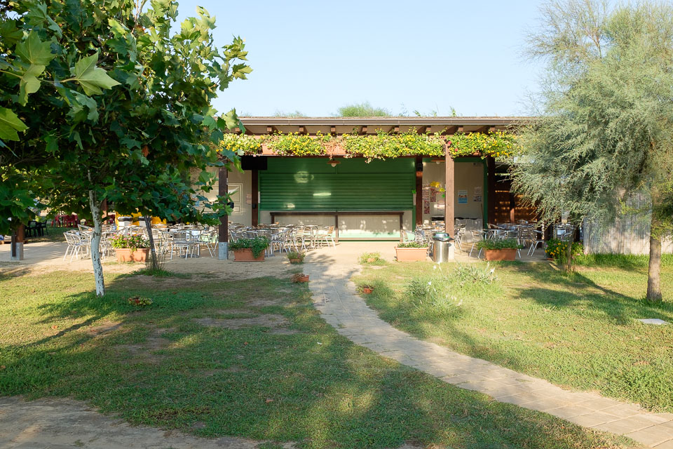 Pescoluse - 08/2015 - ore 7:30 Maldive del Salento