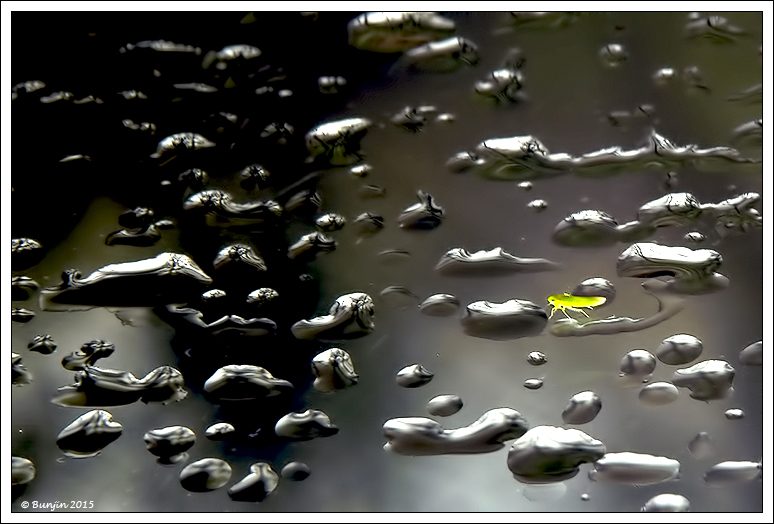 Viaggio al centro della terra