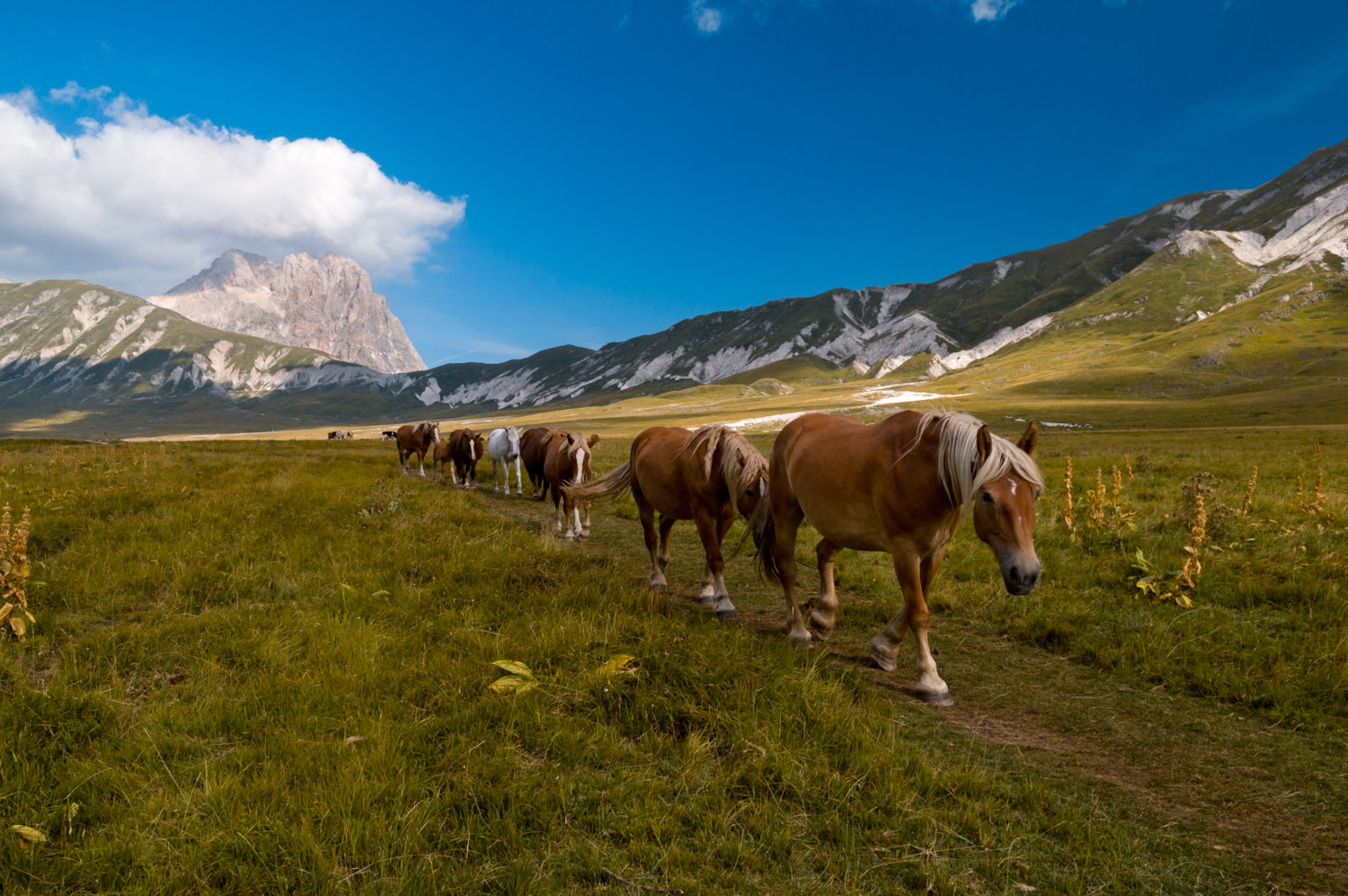 Verso l'abbeveratoio