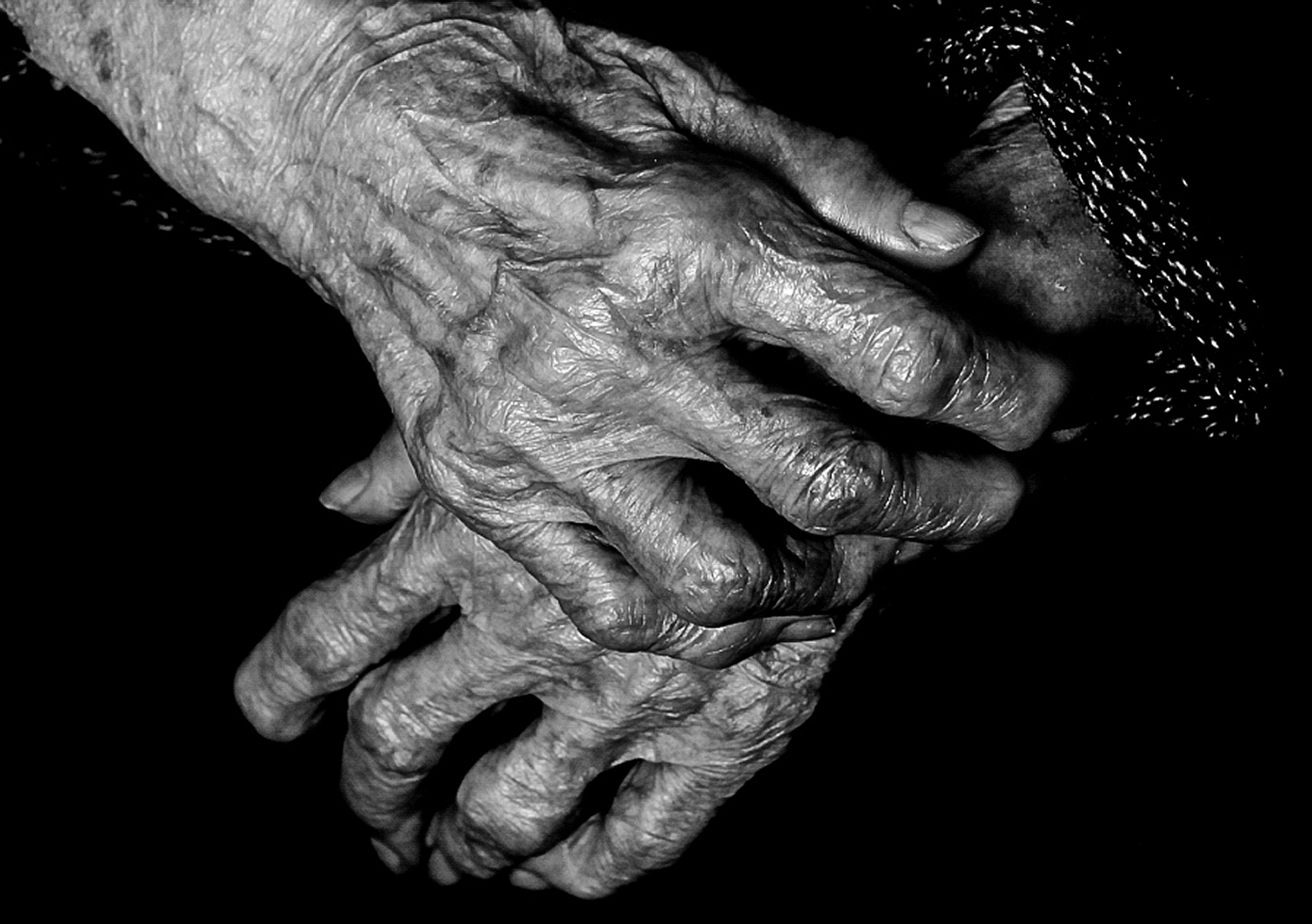 ....my mother's hands....