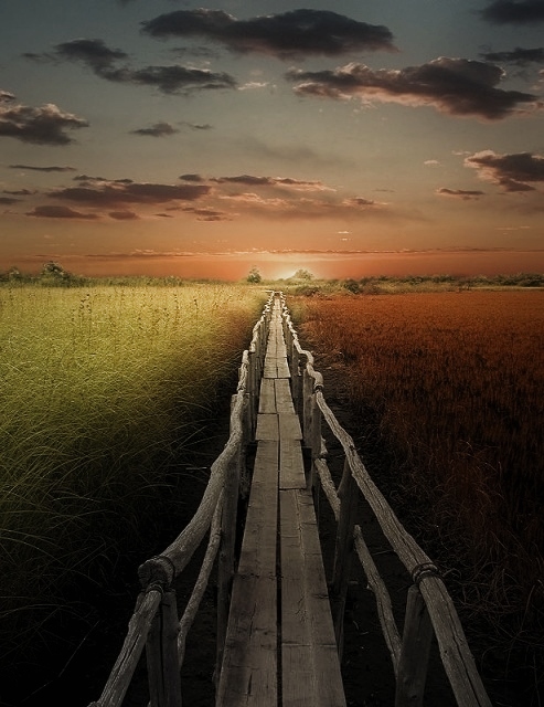 Tra il bene e il male