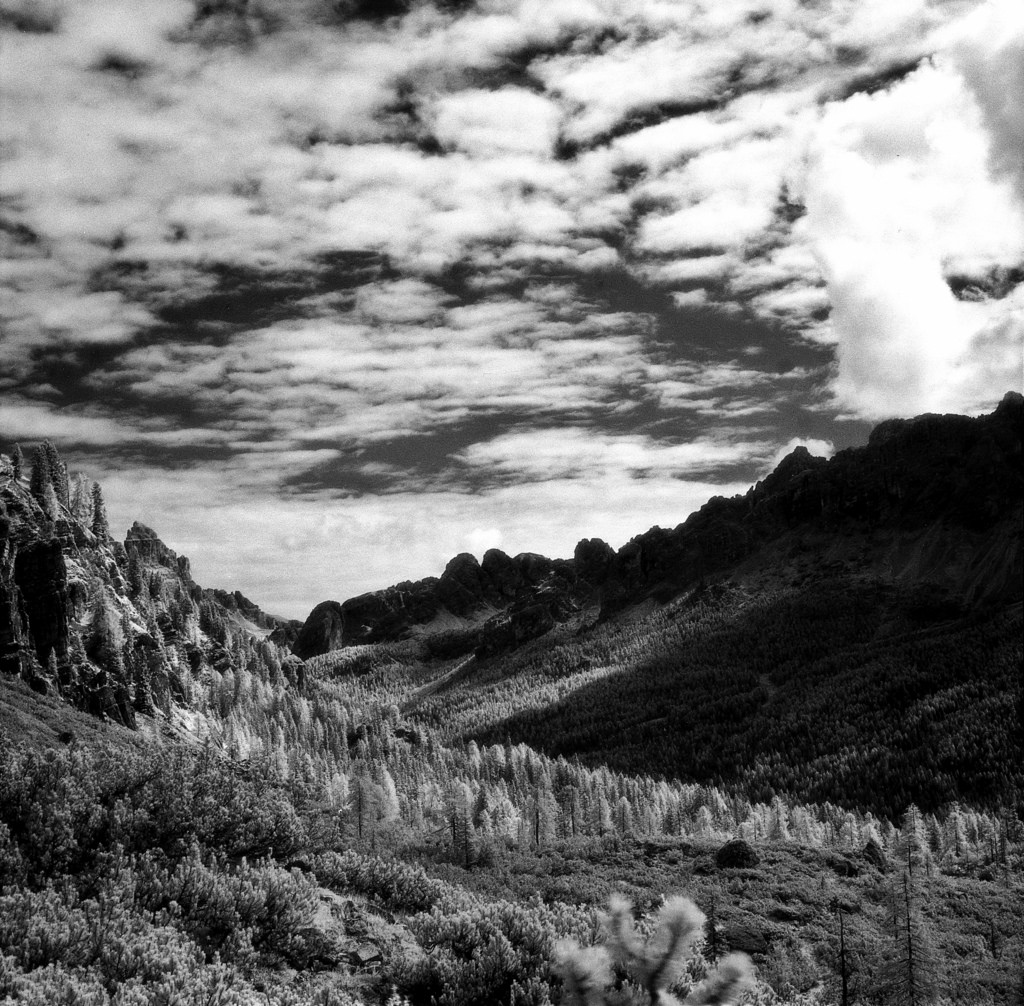 The Wizard's Garden ;/)