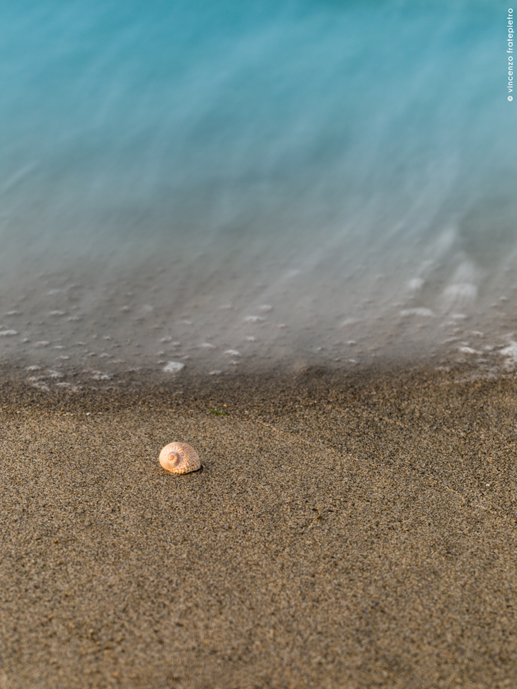 prova a prendermi II