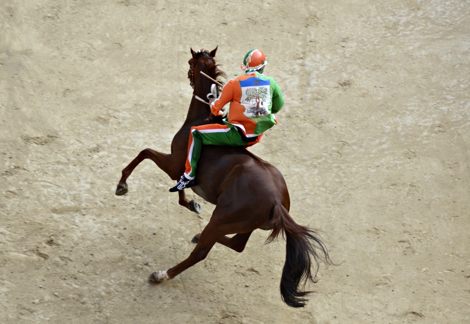 Palio dell'Assunta : Vince La Selva