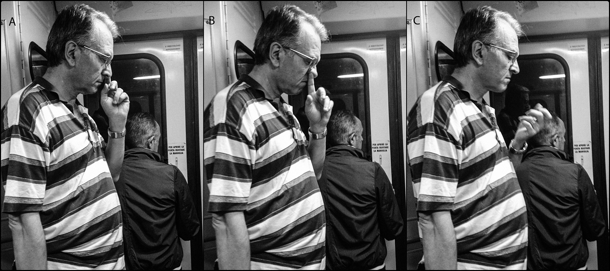 championship sport fishing