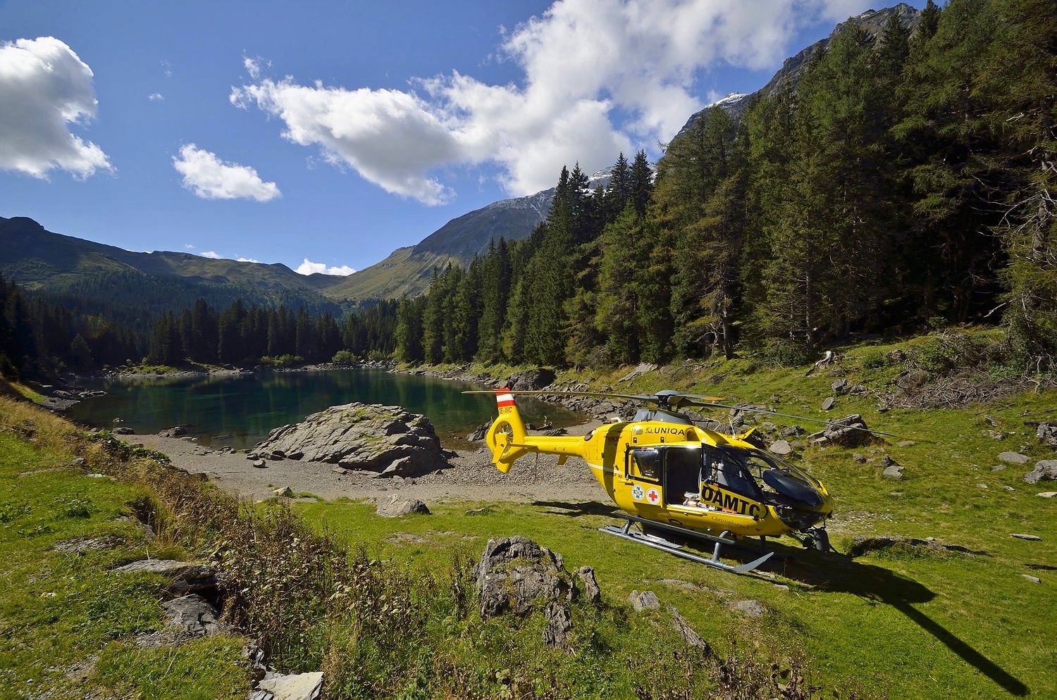 Bellezza e utilit�