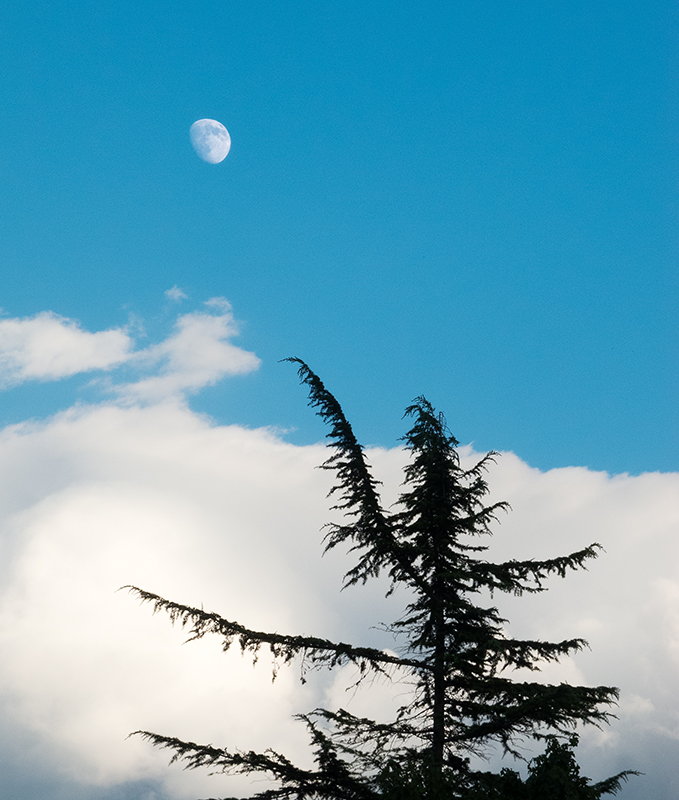 Luna.....t'acchiappo!