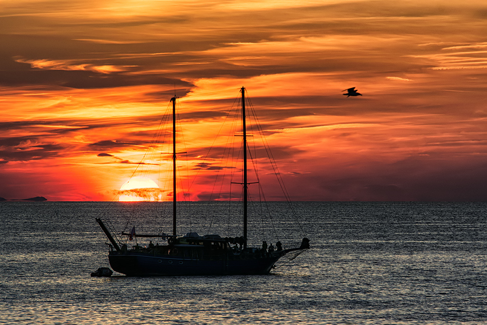 viaggiando in compagnia..