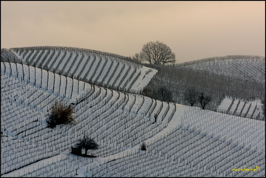 the winter langhe