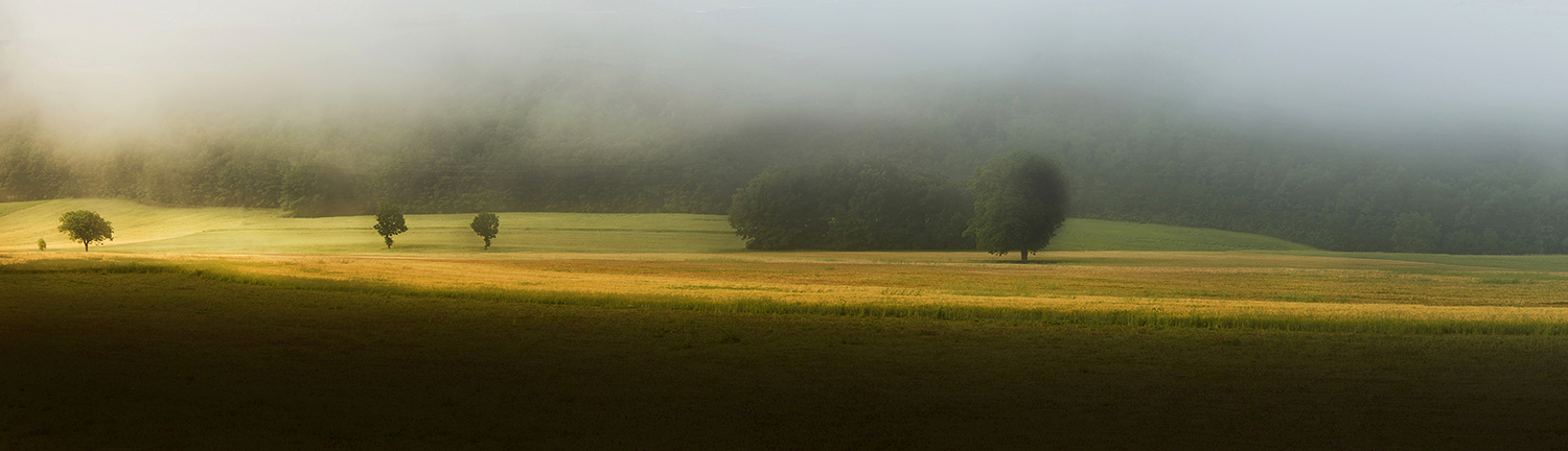 una luce nella nebbia