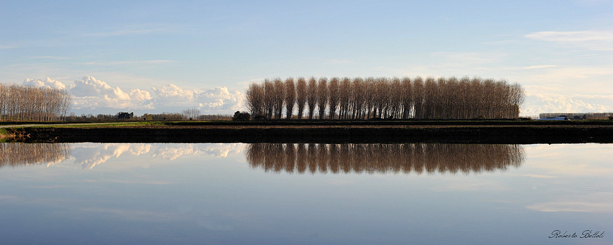 Paesaggio piemontese