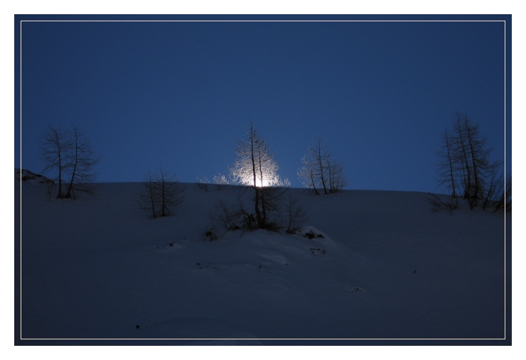 Fiamma d'argento sulla neve...