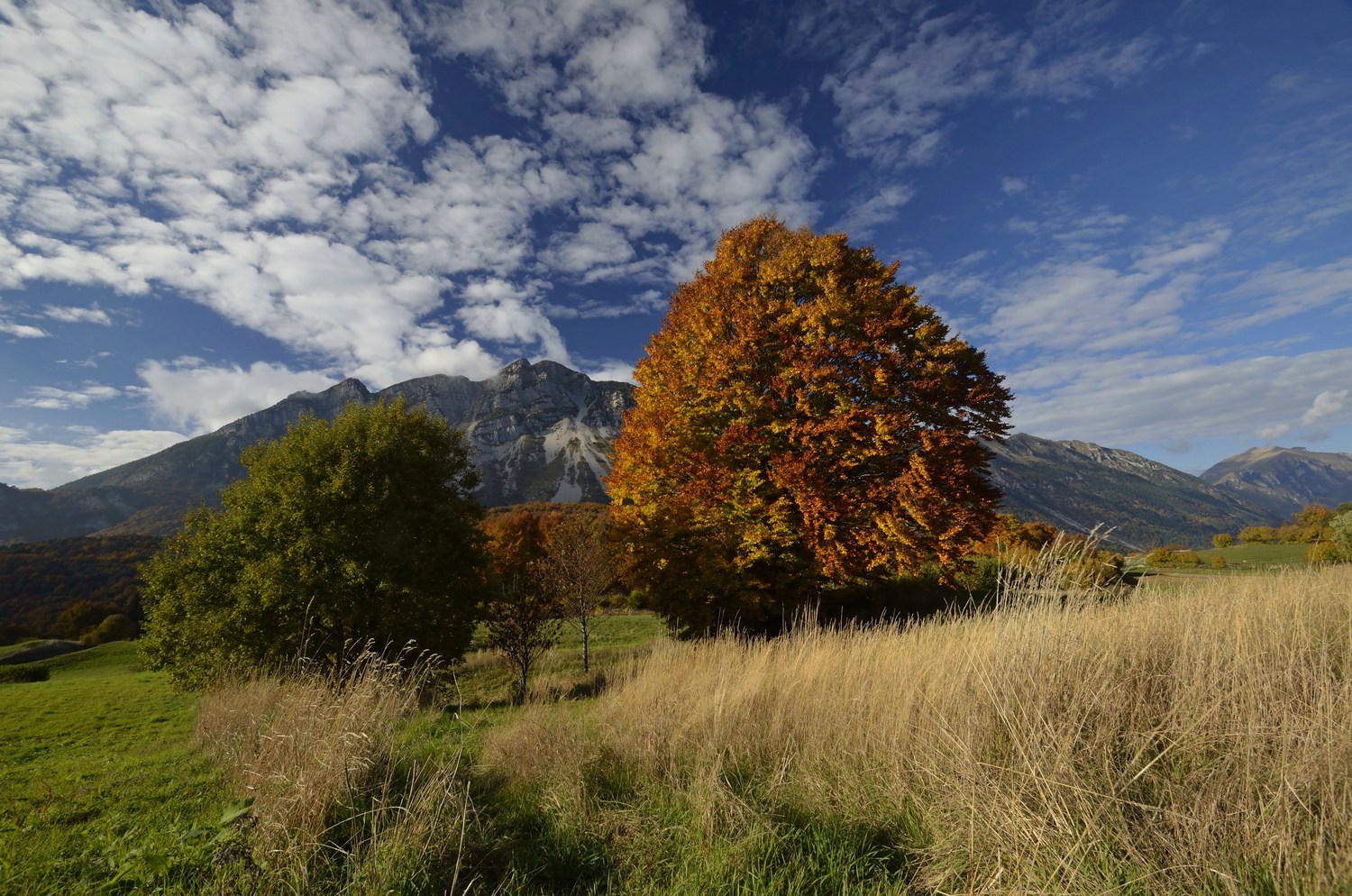 Autunno in montagna