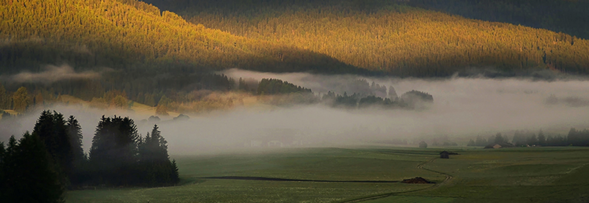 la nebbia agli irti colli
