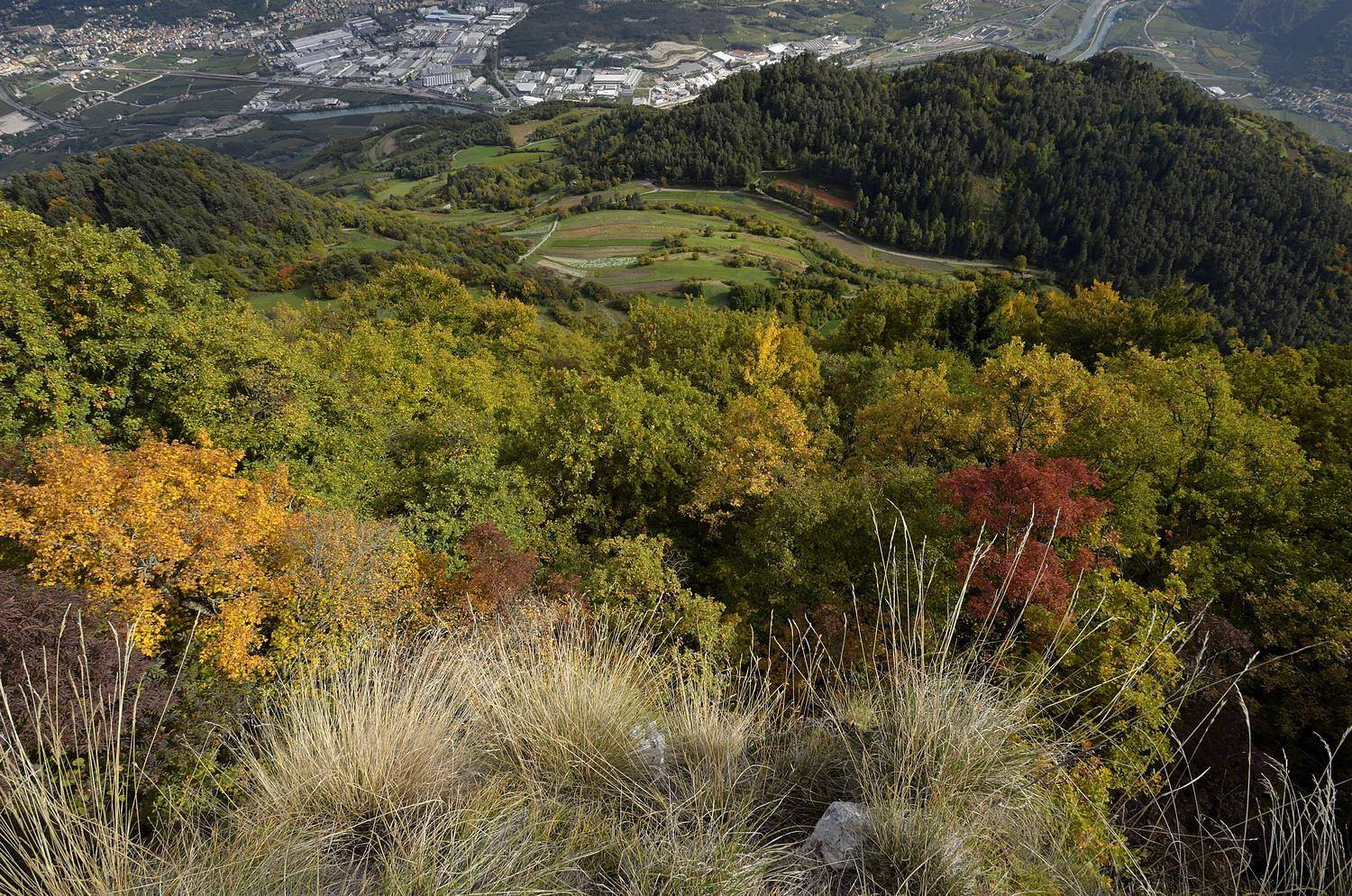 L'autunno scende dall'alto
