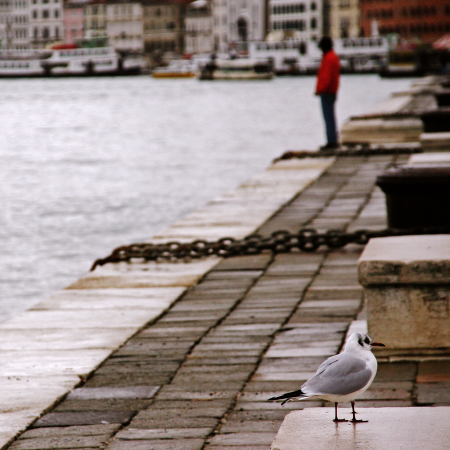 Riva degli Schiavoni