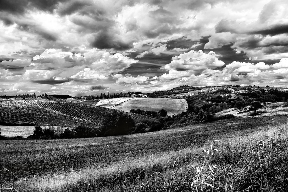 la toscana in b/n