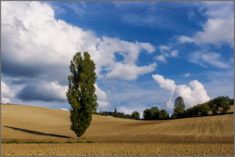 l'autunno sulla collina