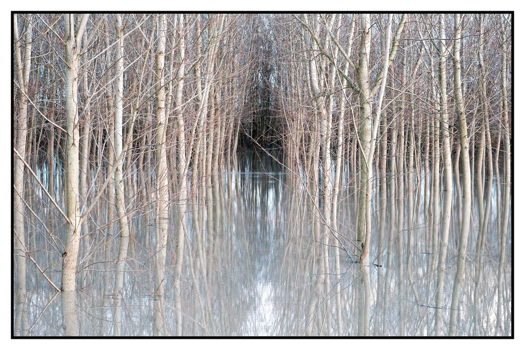 s.t. (Bassa Parmense 16-11-14)