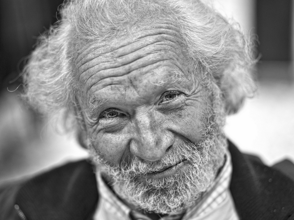 ricorda Signore questi servi disobbedienti alle leggi del branco