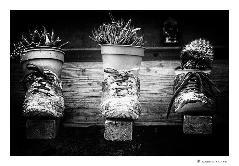 Con le scarpe puoi.....