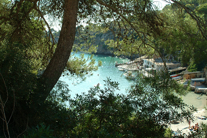 Calapi, Palma de Mallorca
