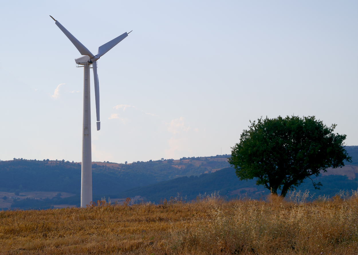 Non ti far� alcun male....