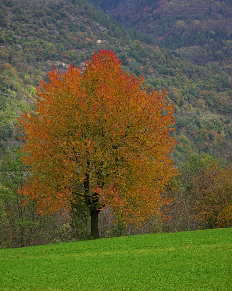 Autunno