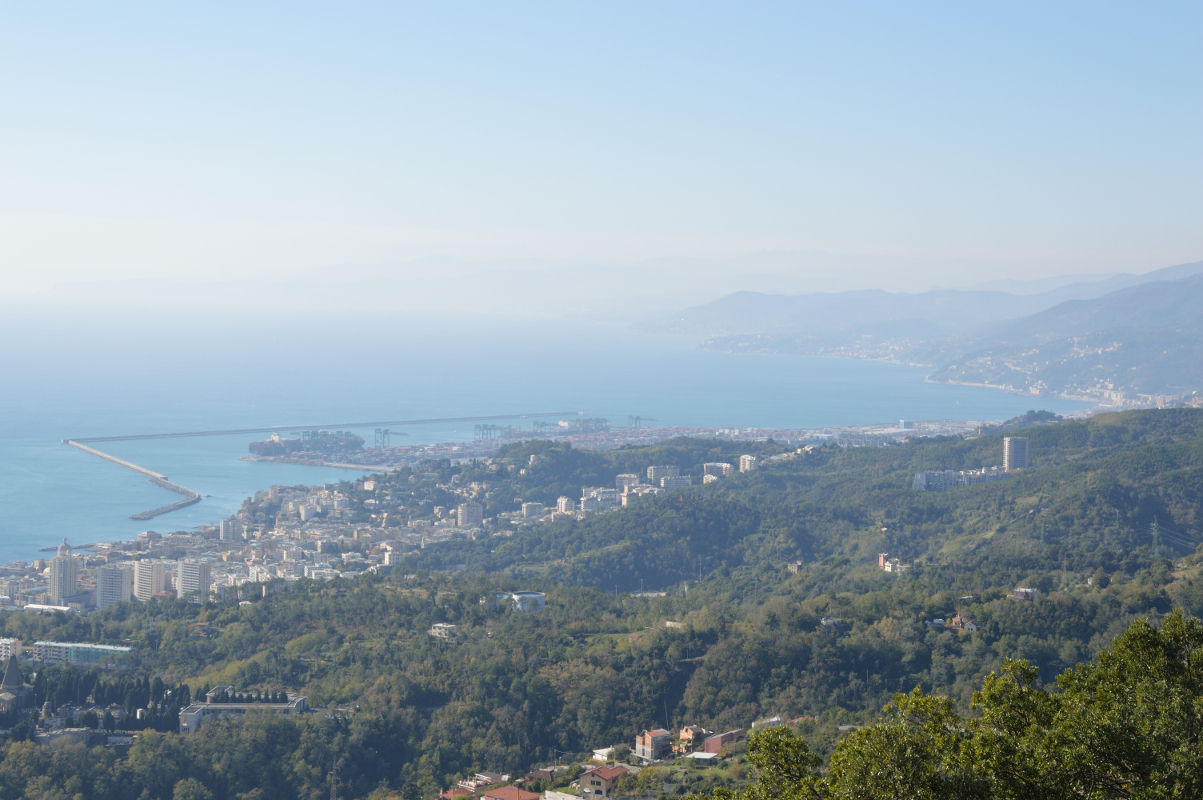 Delusione panoramica 1