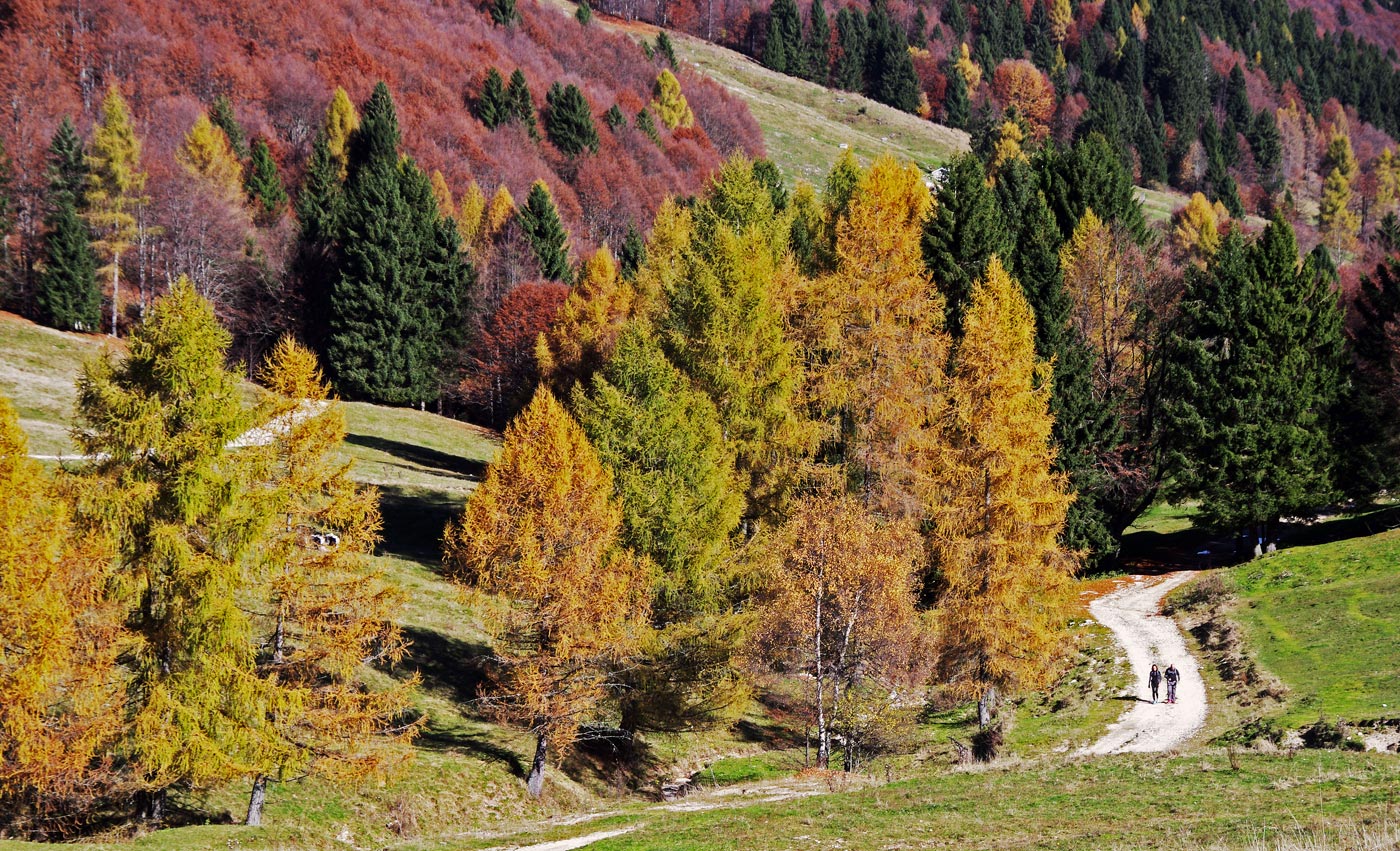 Microescursionisti nell'autunno